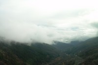 nuage